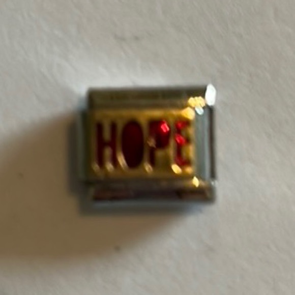 ZOPPINI (nomination) 2/$25 HOPE bracelet link - Picture 2 of 7